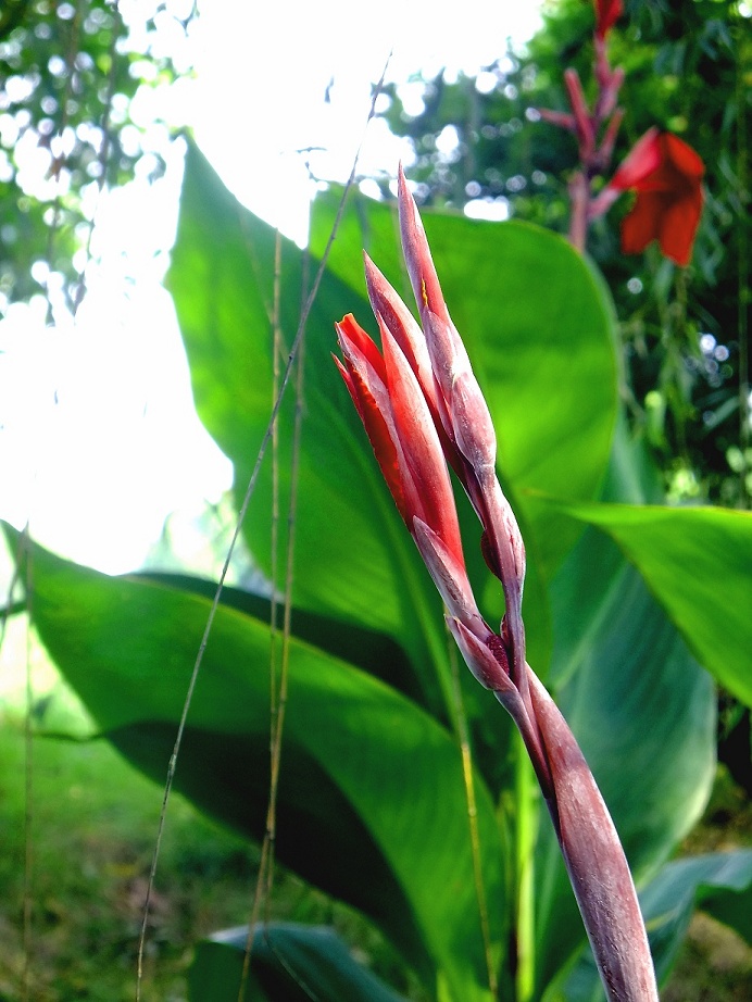 DSCF1050(001).jpg