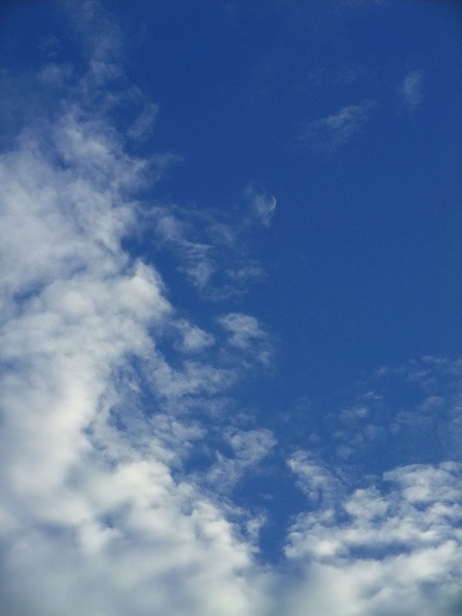 DSCF0561.jpg