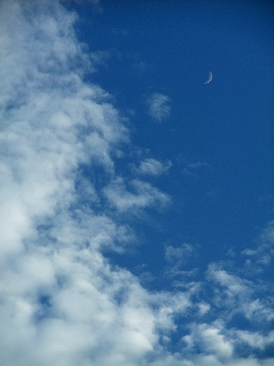 DSCF0562a.jpg