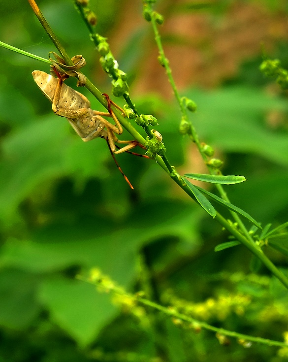 DSCF0379.jpg