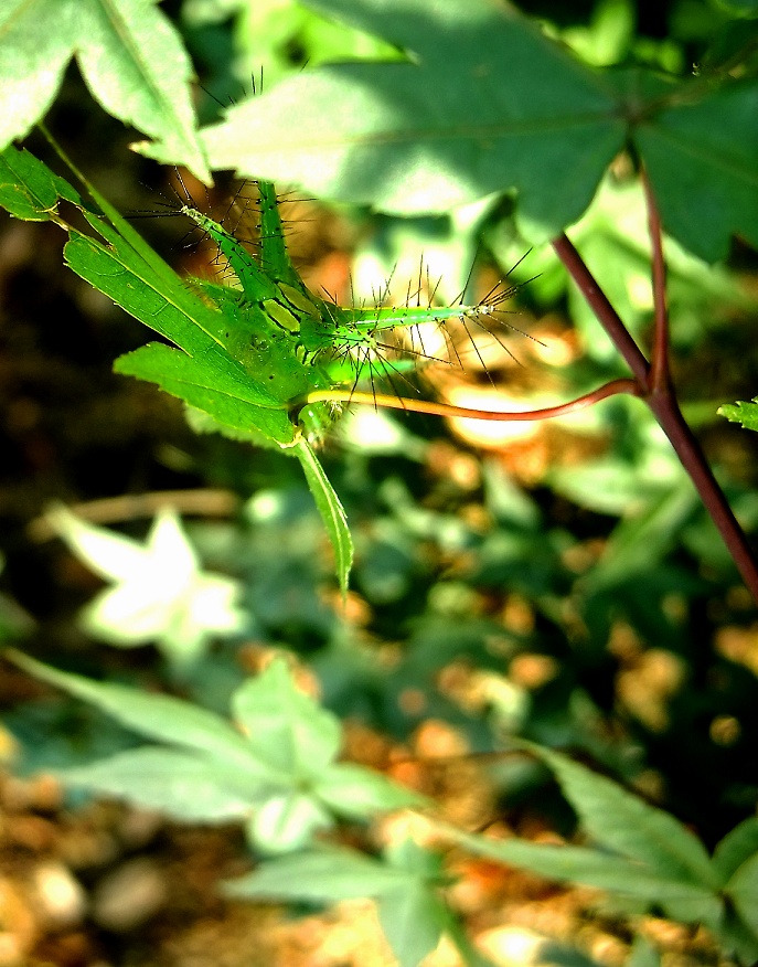 DSCF0657.jpg