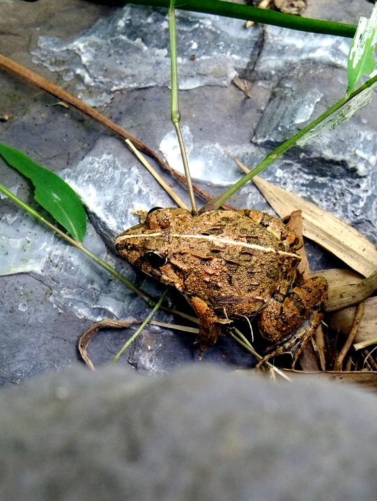 DSCF0824.jpg