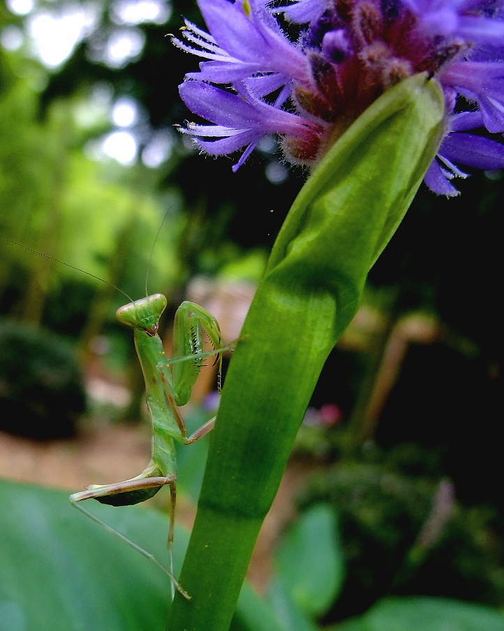 DSCF0842.jpg