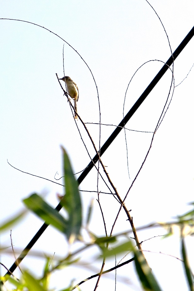 DSCF0845.jpg