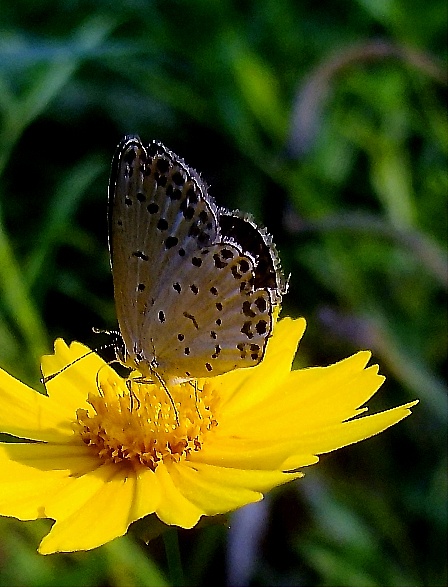dscf0881.jpg