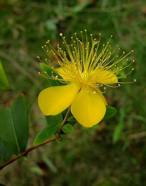 DSCF0909(001).jpg