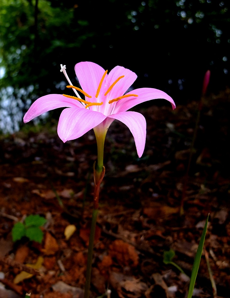 DSCF0925.jpg