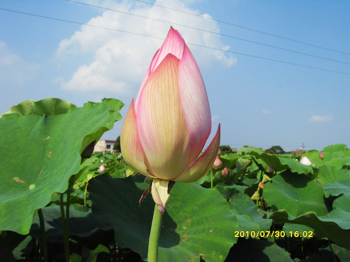 SDC15935.jpg