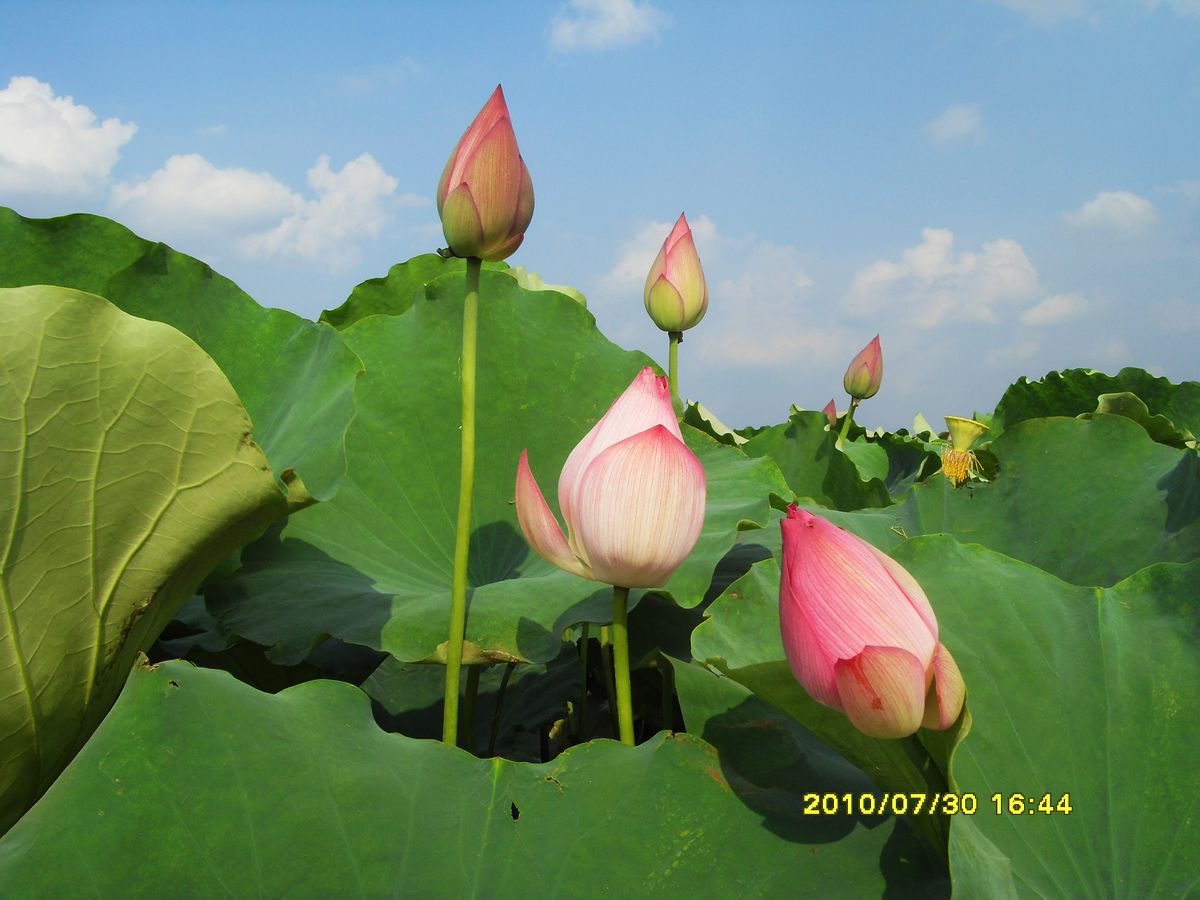 SDC15976.jpg