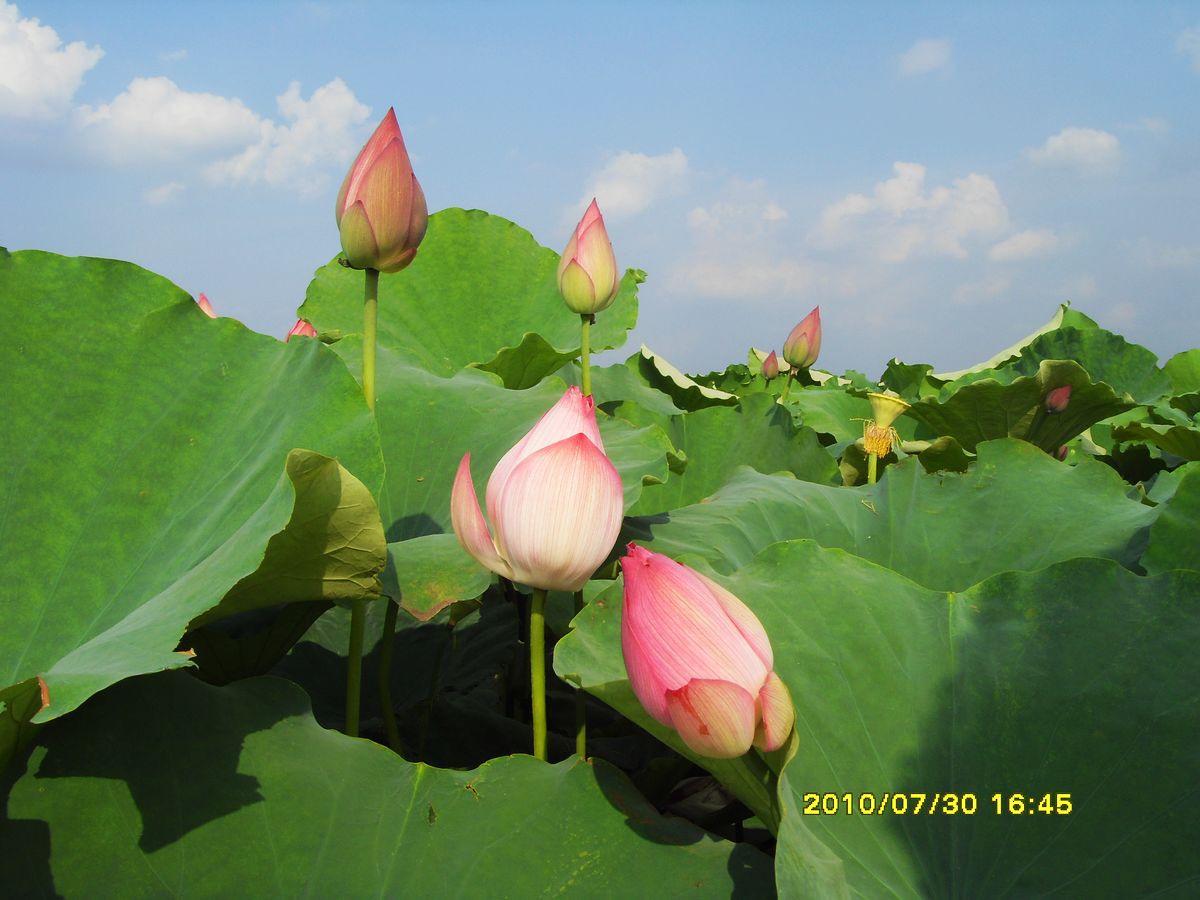 SDC15977.jpg