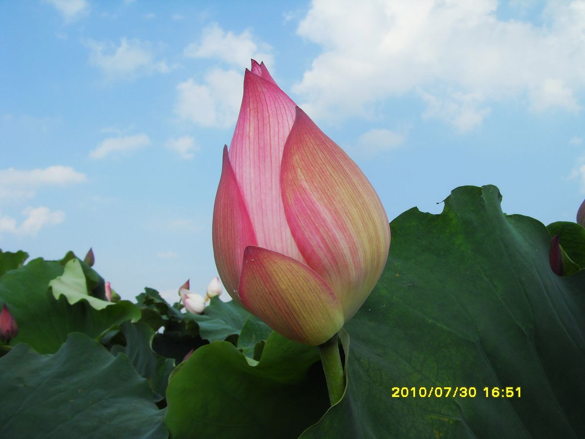 SDC15991.jpg
