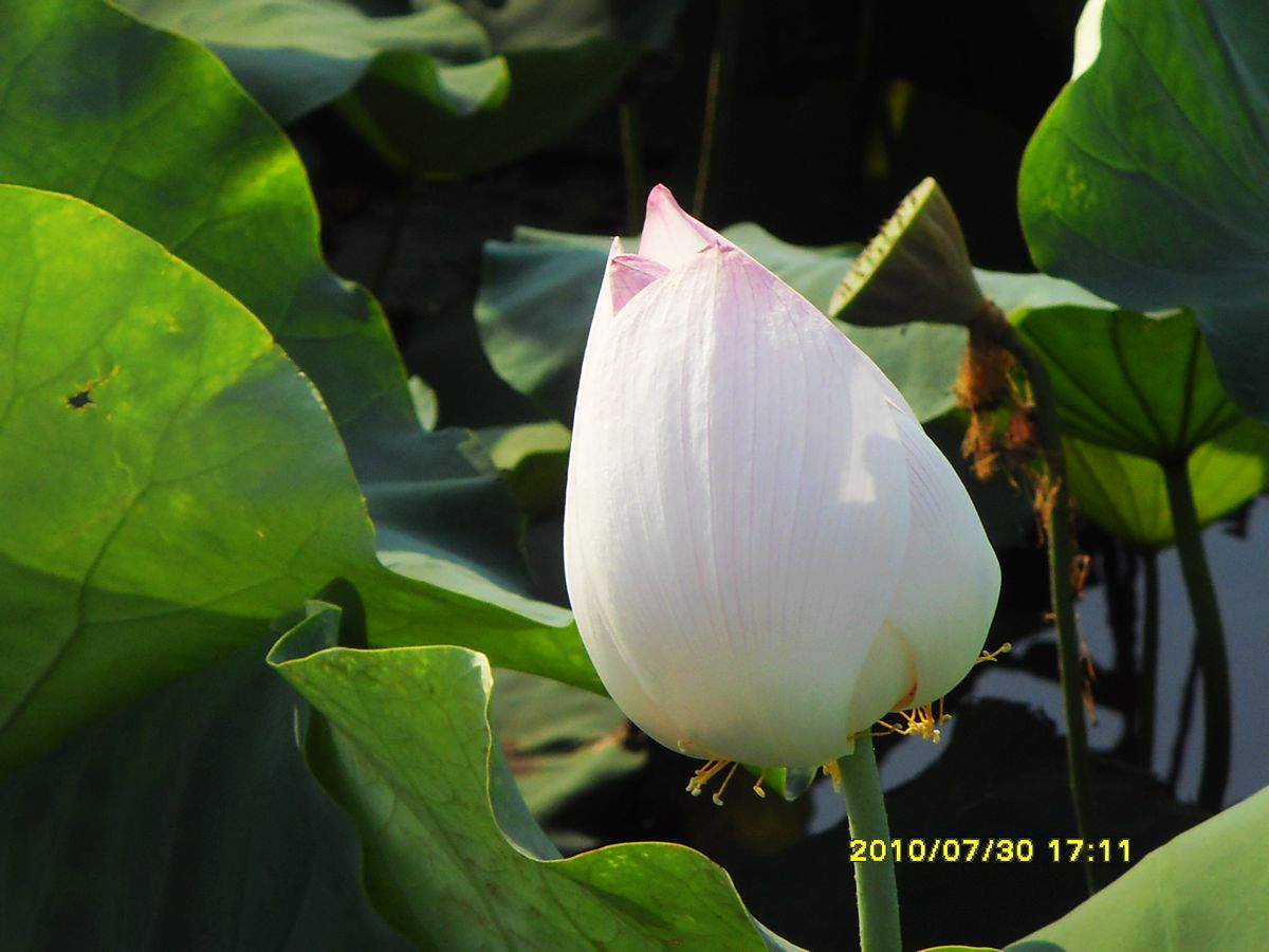 SDC16012.jpg