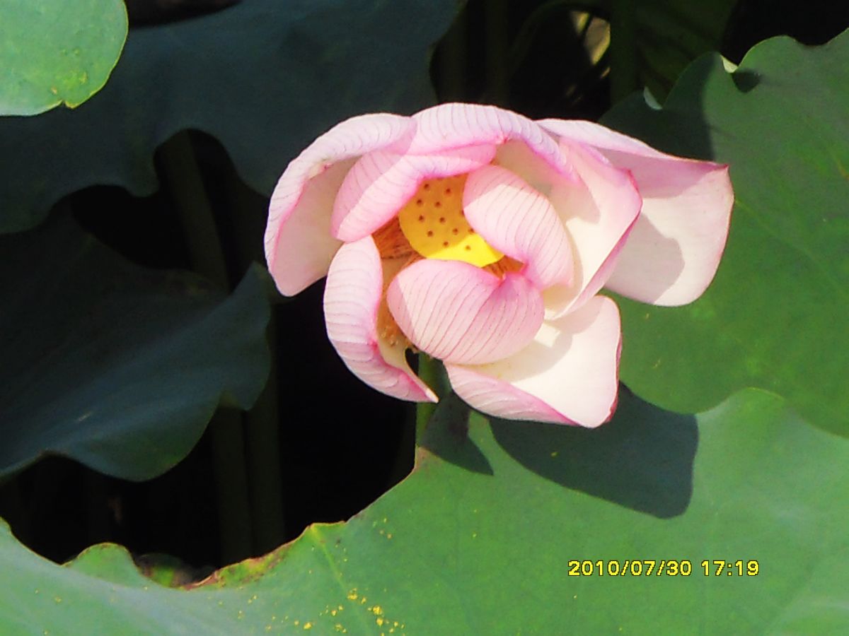 SDC16019.jpg