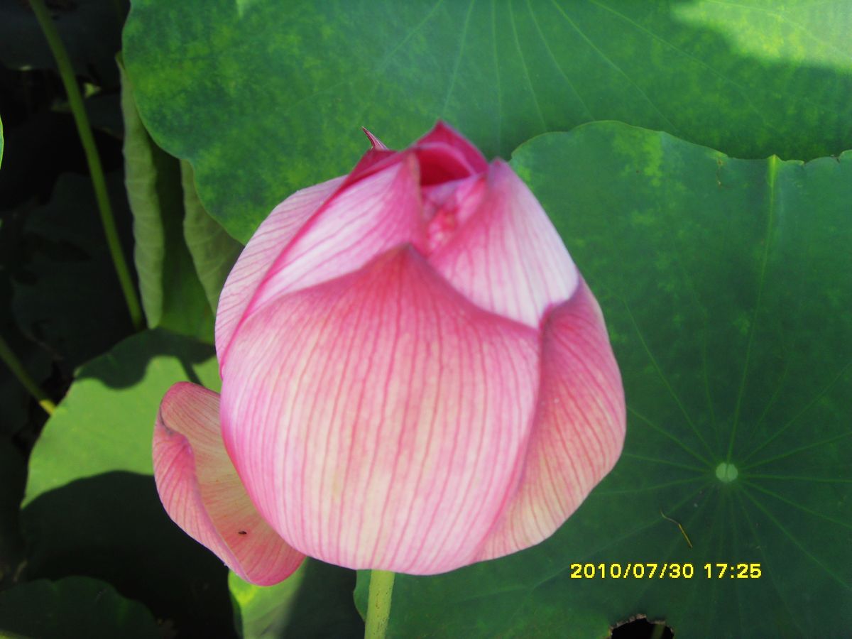 SDC16028.jpg
