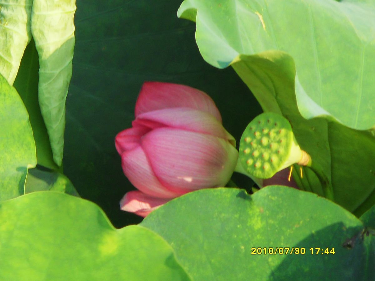 SDC16062.jpg