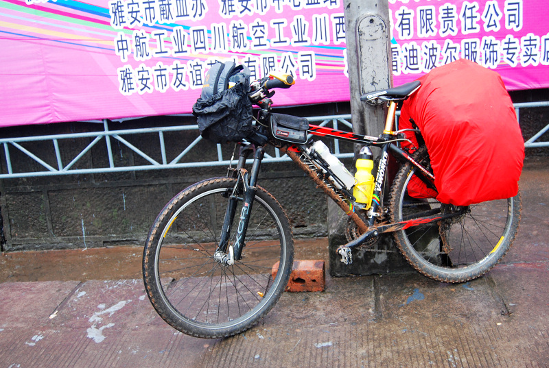 nEO_IMG_n60 137.jpg
