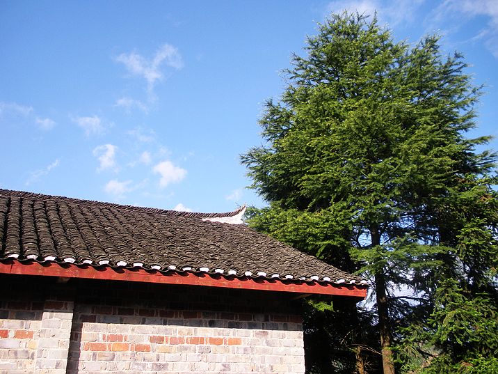 DSCN9000.jpg