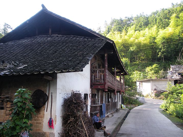 DSCN9008.jpg