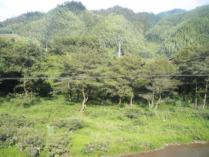DSCN9202.jpg