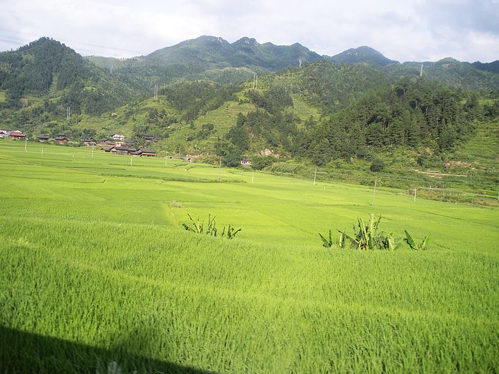 DSCN9206.jpg