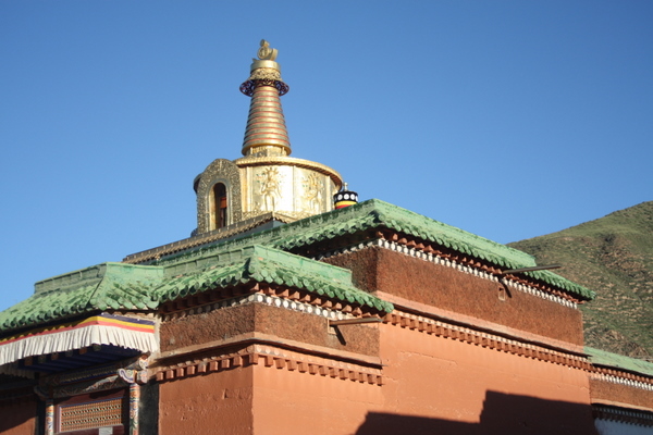 IMG_5486.jpg