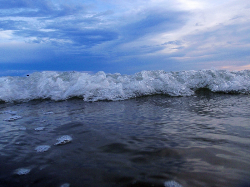 P8010017.JPG