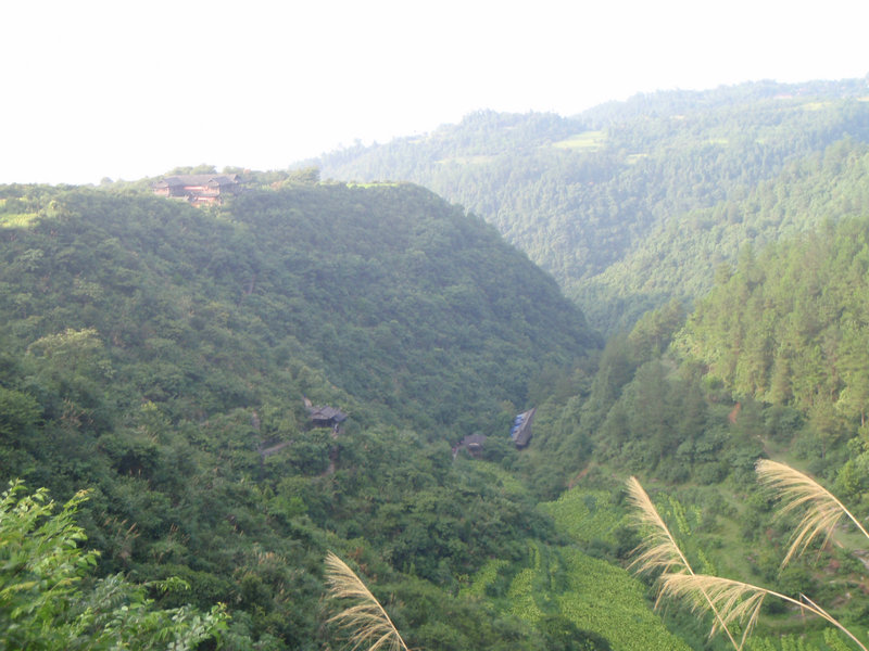 P8070676_1.JPG