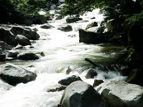DSC00002.jpg .jpg