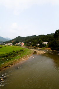 IMG_1547.jpg