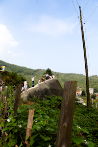 IMG_1968.jpg