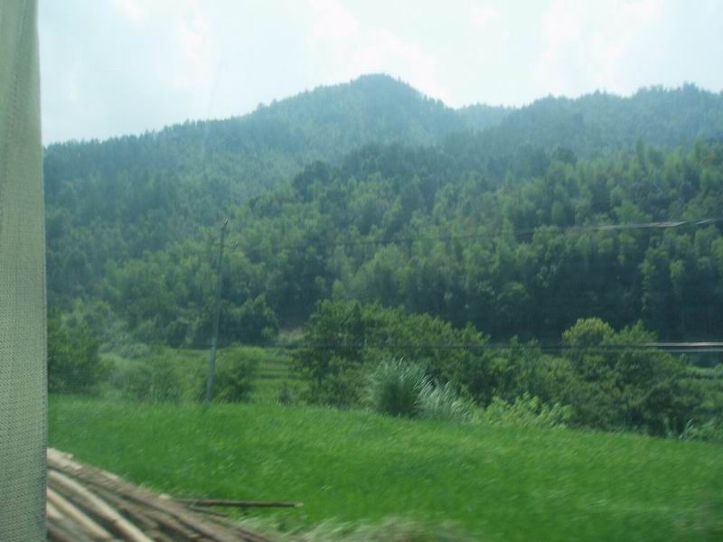 P1012388.JPG