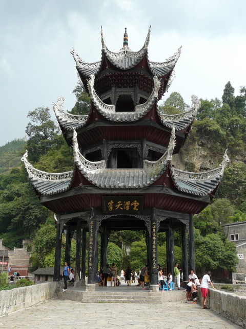 P1020521.jpg