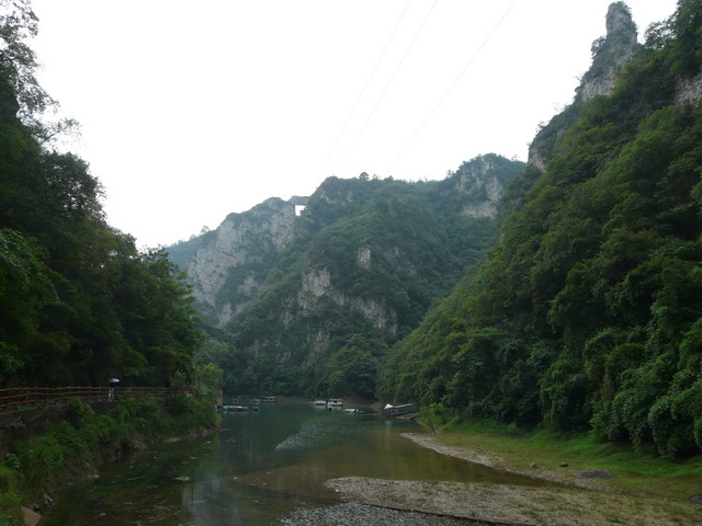 P1020526.jpg
