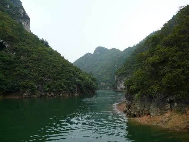 P1020602.jpg