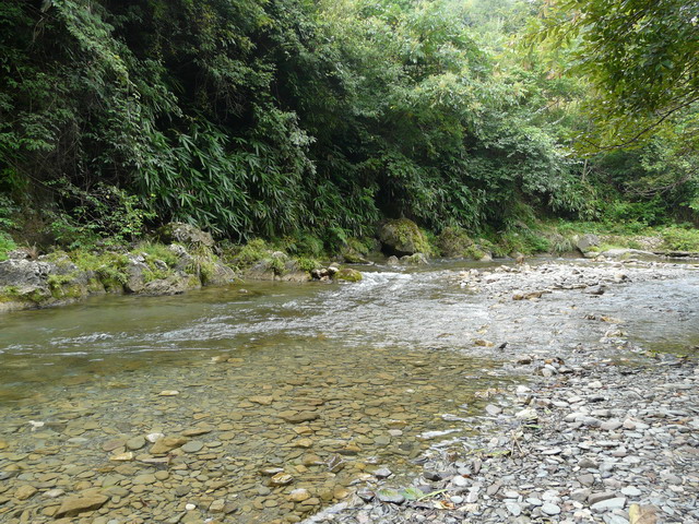 P1020651.jpg