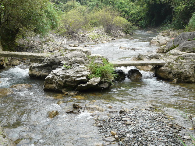 P1020658.jpg