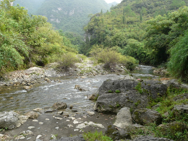 P1020662.jpg