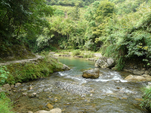 P1020664.jpg