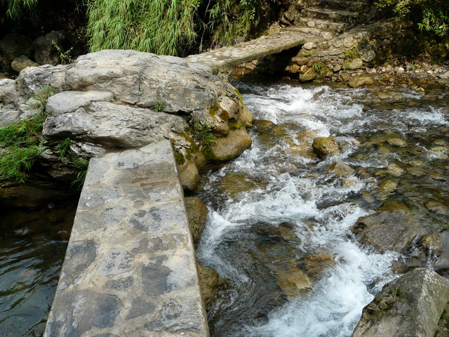 P1020668.jpg