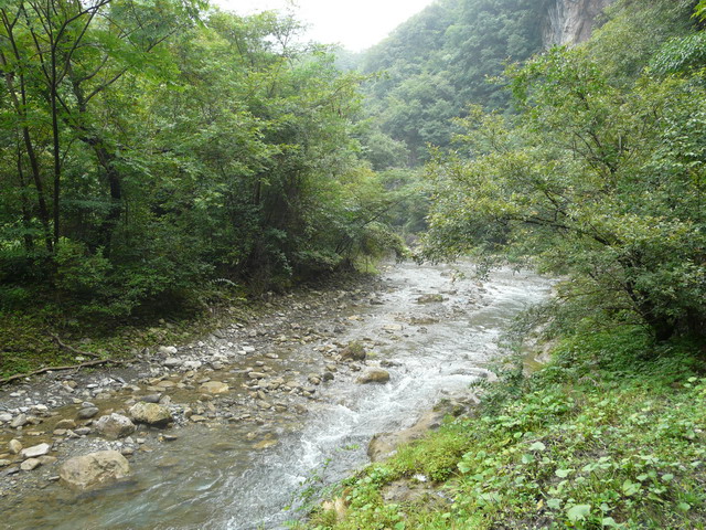 P1020674.jpg
