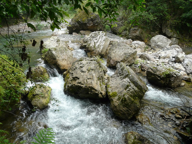 P1020691.jpg