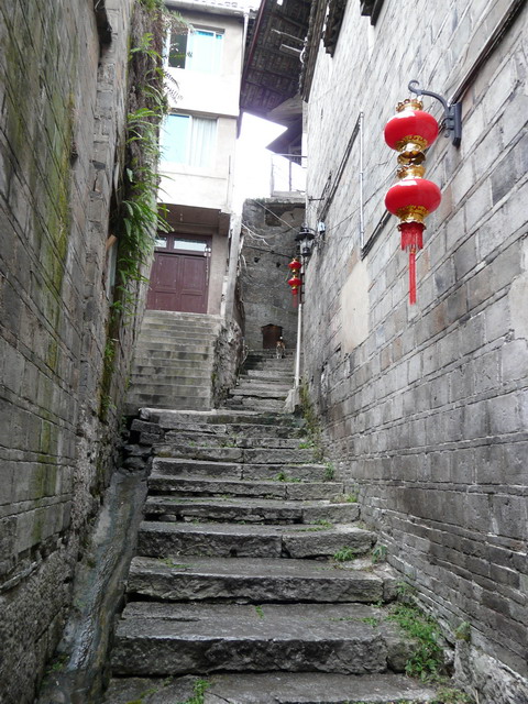 P1020795.jpg