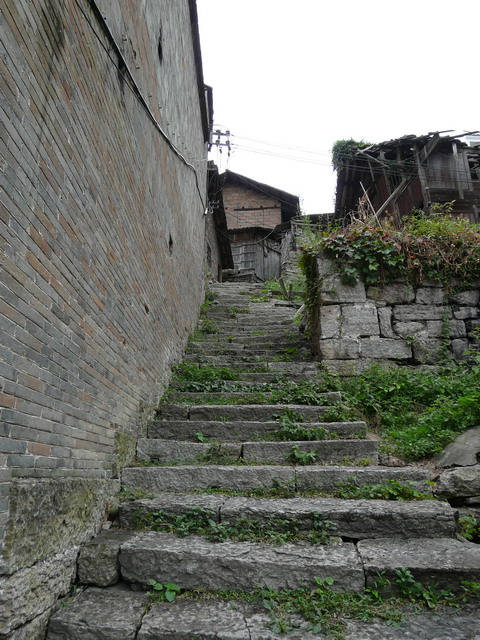 P1020801.jpg