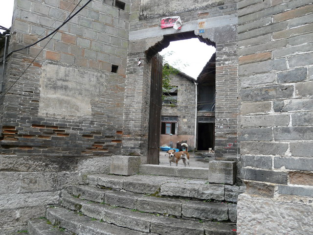 P1020802.jpg