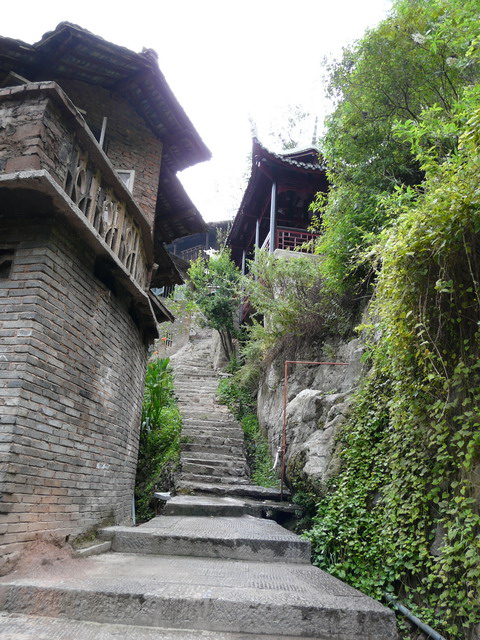 P1020805.jpg