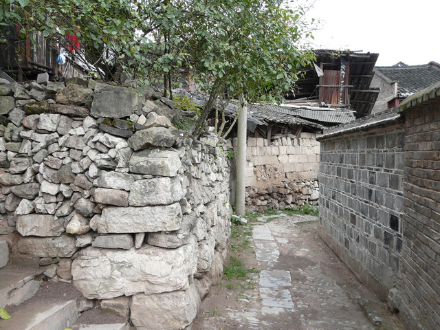 P1020811.jpg