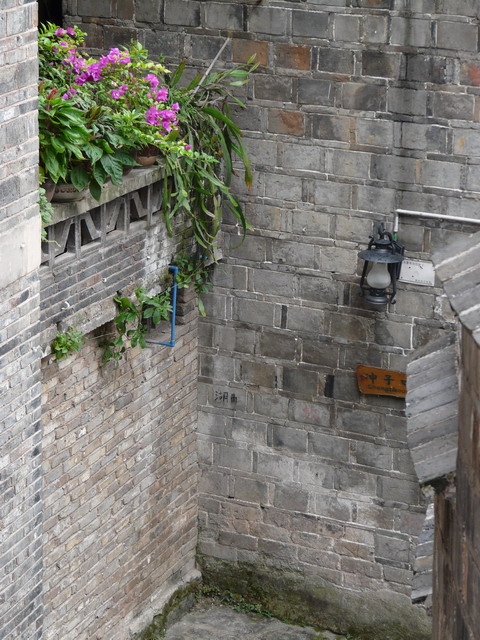 P1020815.jpg