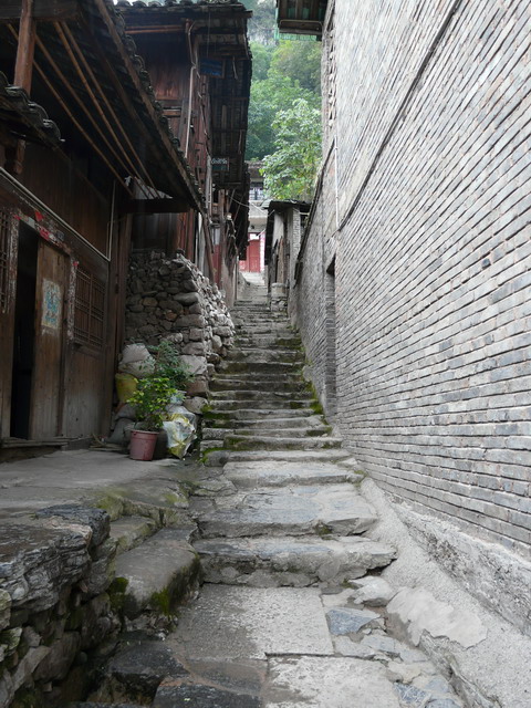 P1020816.jpg