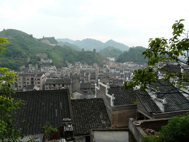 P1020817.jpg