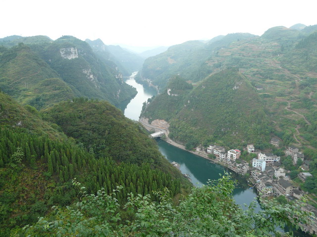 P1020820.jpg